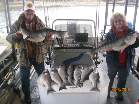 Nice Striped Bass